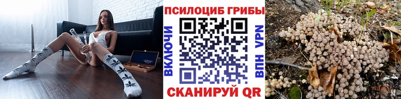 мега рабочий сайт  Славск  Псилоцибиновые грибы мухоморы 
